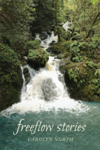 Freeflow stories cover